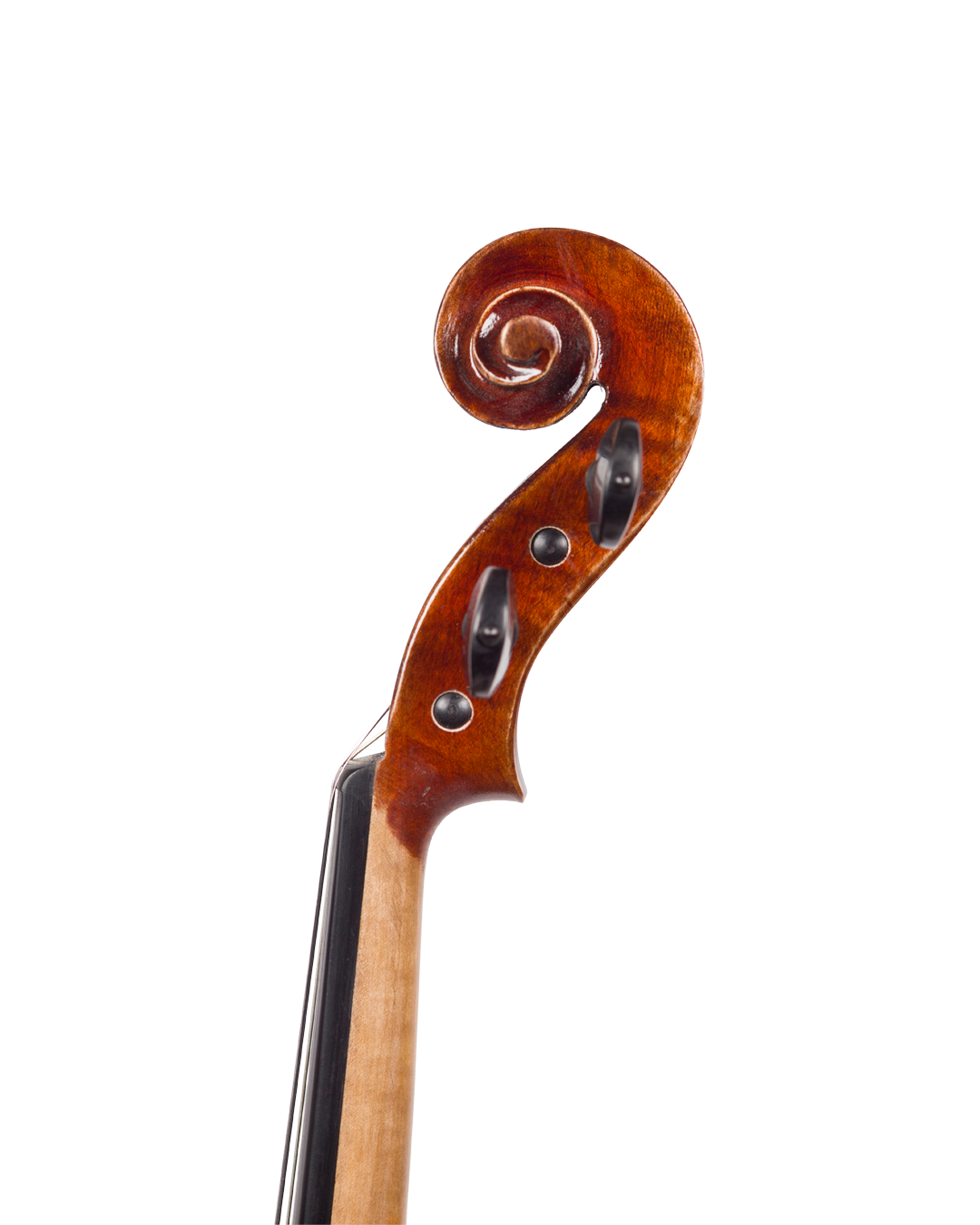 Violino feito à mão verniz à óleo, fundo inteiro